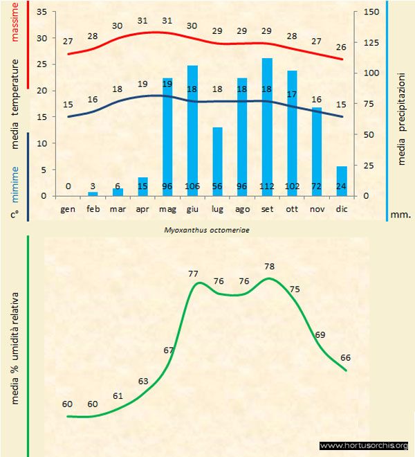 Myoxanthus octomeriae b gr it