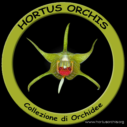 b_0_0_0_10_images_stories_Logo-hortus-horchis-nobordo.png
